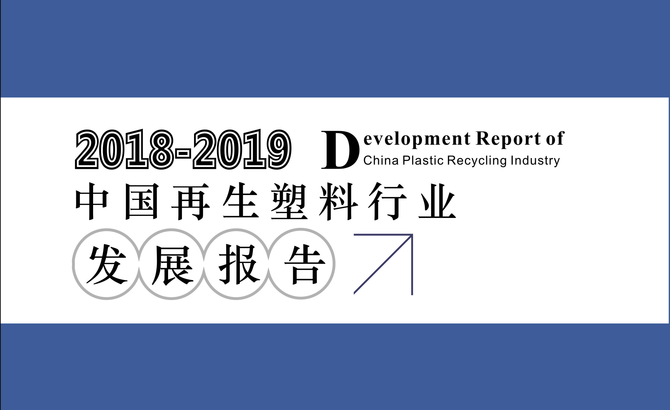 发展报告2018-2019