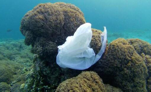 水体表面清洁技术无法解决海洋塑料问题