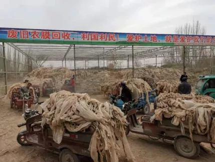 新修订《甘肃省废旧农膜回收利用条例》5月1日起施行